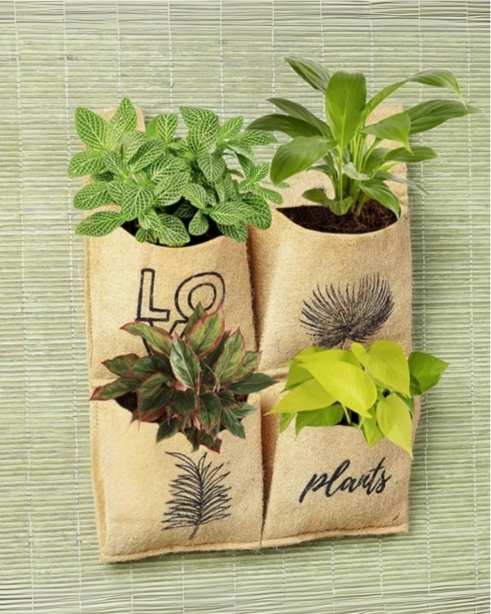JUTE GROW BAGS 03